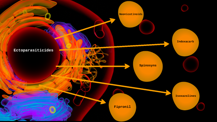 Ectoparasiticides by Alexis Del Castillo on Prezi