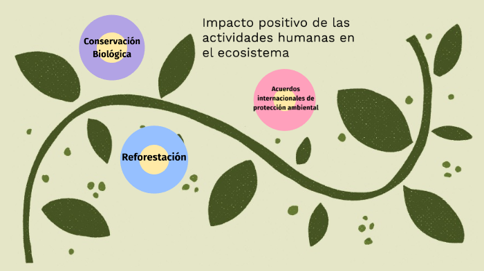 Impacto Positivo De Las Actividades Humanas En El Ecosistema By Danae Paola Merillu Uribe 