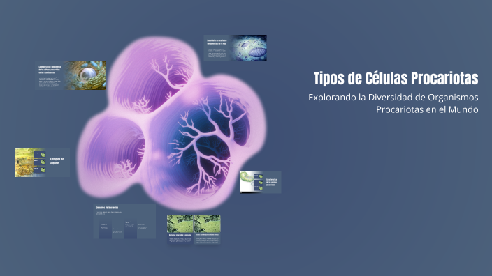 Tipos de Células Procariotas by santiago Fajardo on Prezi