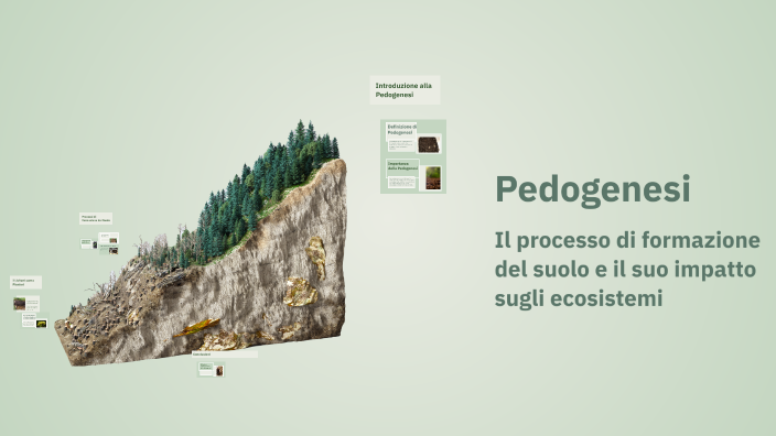 Pedogenesi by Endry Baccarin on Prezi