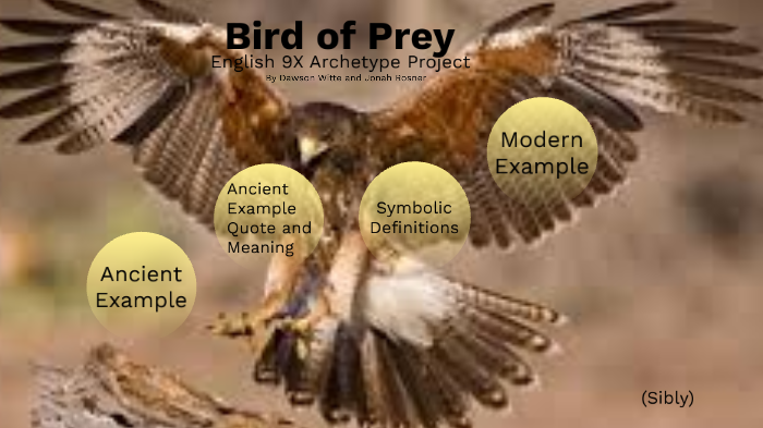 Bird of Prey Archetype by Jonah Rosner