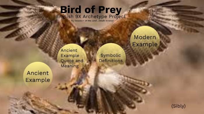 Bird of prey, Definition, Characteristics, & Examples