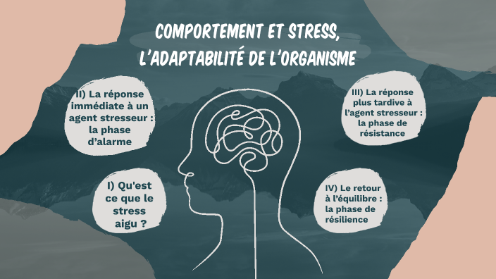 le stress aigu by clara cottin on Prezi