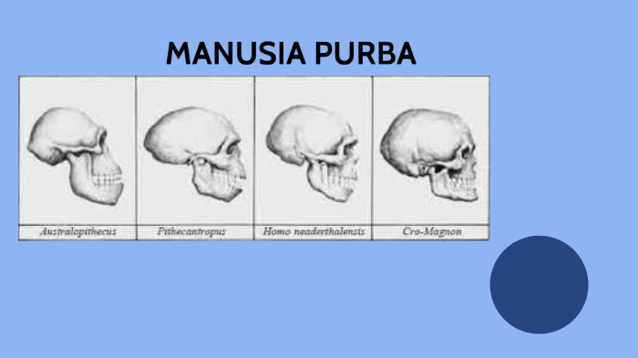 Kecelakaan Kerja Materi Kls X / Materi ms word kls x smt ...