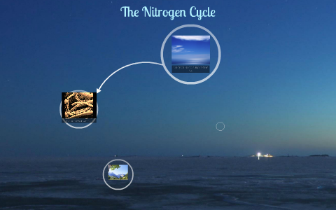 The Nitrogen Cycle by Priyanka Mohandas on Prezi