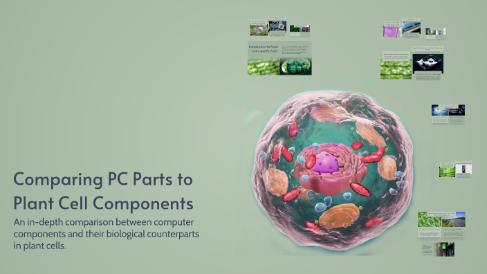 Comparing PC Parts to Plant Cell Components by James Harvey on Prezi