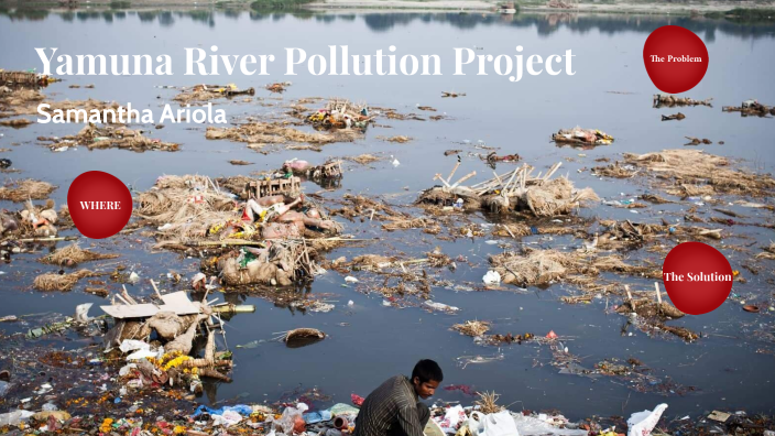 yamuna river pollution case study ppt