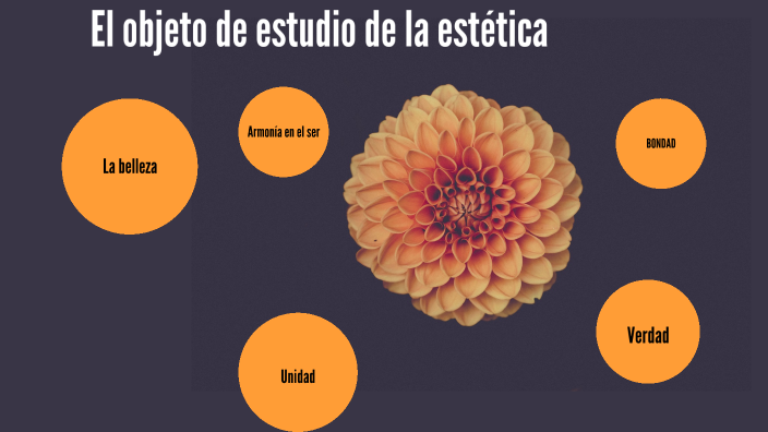 Objeto De Estudio De La Estetica