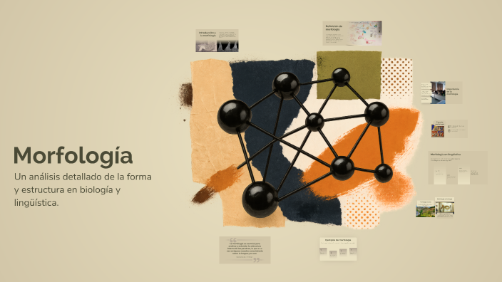 Morfología by maria torrez on Prezi