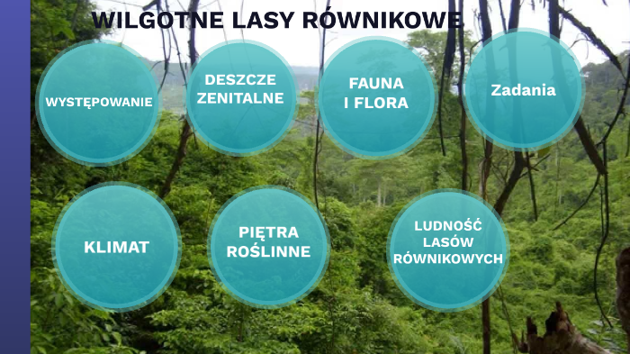 Wilgotne Lasy Równikowe Zwierzęta Wilgotne lasy równikowe by Aldona Skrobek on Prezi