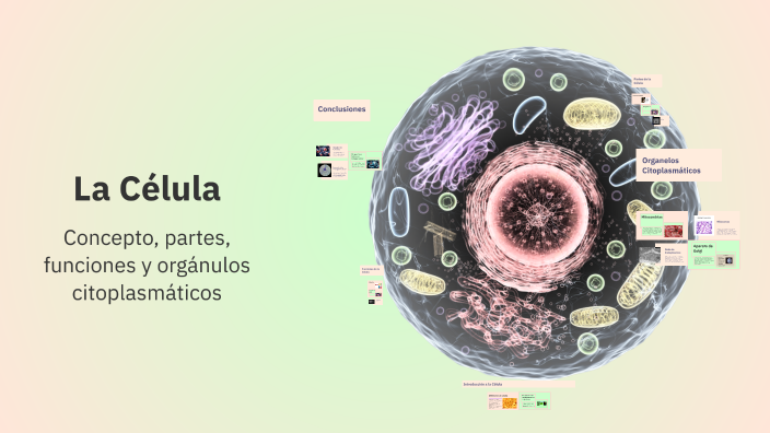 La Célula by Luz Mariela Gamarra San Martín on Prezi
