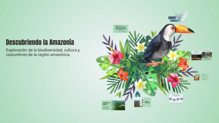 Descubriendo la Amazonía by Paul Alvarado on Prezi