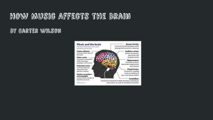 How does music affect the brain by Carter Wilson on Prezi