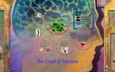 The Chain of Infection by alexandra budrock on Prezi