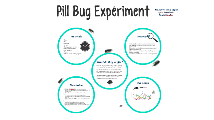 in the pillbug experiment your hypothesis