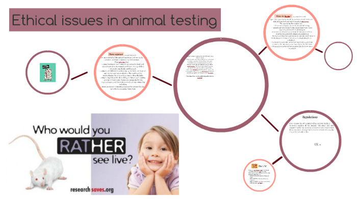 Ethical issues in animal testing by matilde slanzi