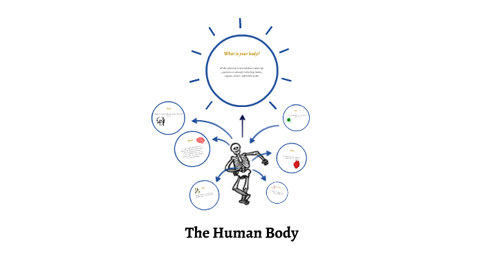 The Human Body by Corrie Crognale on Prezi