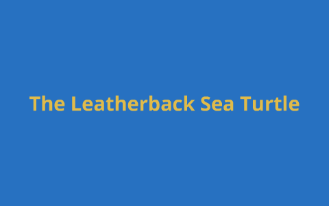 The Leatherback Sea Turtle by Mrs. Patton Library on Prezi
