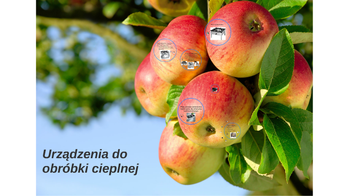 Urządzenia do obróbki cieplnej by Edyta Nowaczyk on Prezi