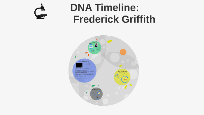 Dna Timeline Frederick Griffith By Renata Popovic On Prezi