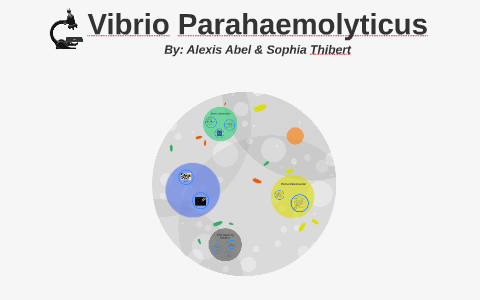 vibrio parahaemolyticus skin infection