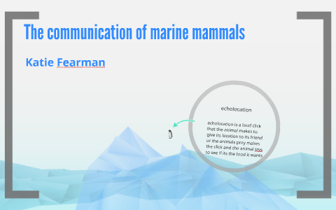 the communication of marine mammals by Elizabeth Clark on Prezi
