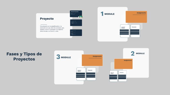 Fases Y Tipos De Proyectos By Mariela Carranza On Prezi 5428