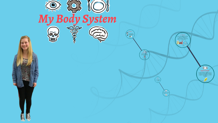 Ally Mangano Body System by ally mangano on Prezi