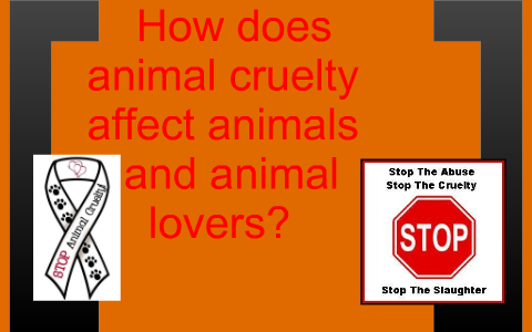 How does animal cruelty affect animals and animal lovers? by Kelsi Beard