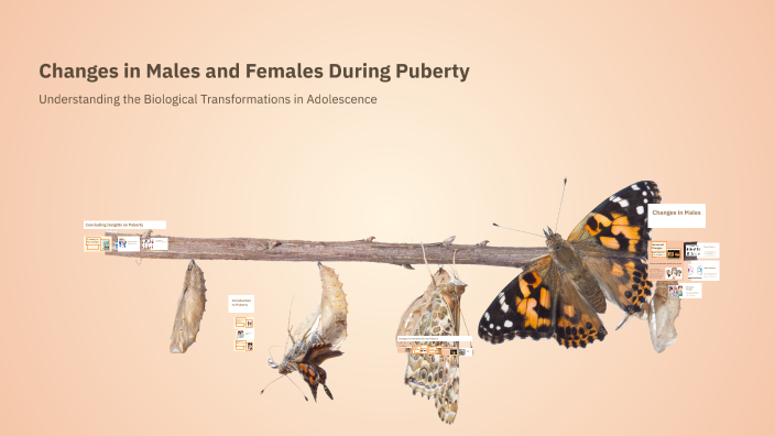 Changes in Males and Females During Puberty by Ramon Bong Saliling on Prezi
