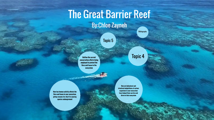 The Great Barrier Reef by Chloe Zayneh on Prezi