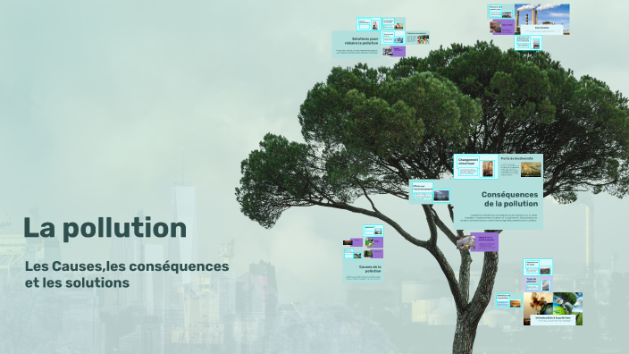 La pollution by Yassine Yassine on Prezi