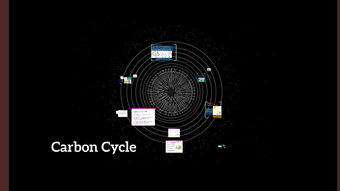 Carbon Cycle by Mariana Mora on Prezi