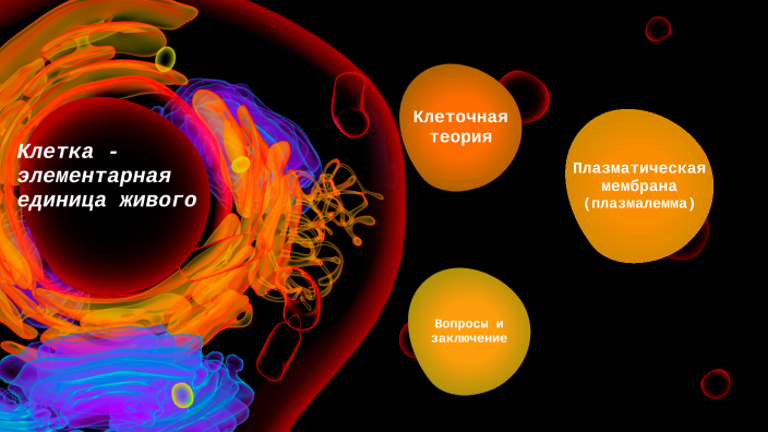 Клетка — элементарная единица живого | Цитология | Биология