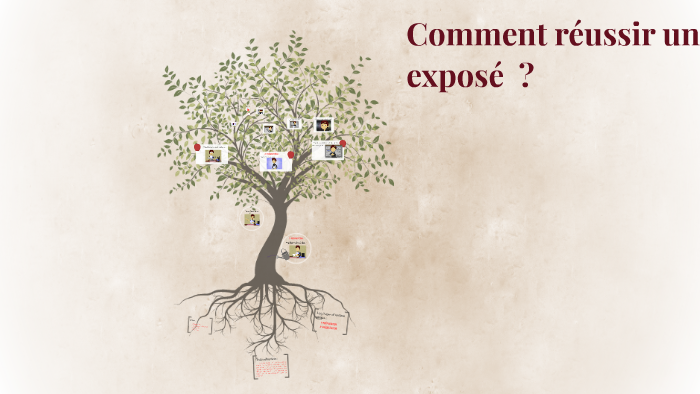 Comment réussir un projet by Mouna Abid on Prezi