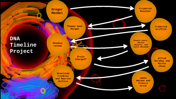 DNA Timeline Project by Sophia Listenfelt on Prezi