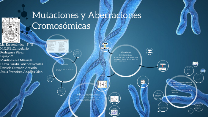 Mutaciones Y Aberraciones Cromosomicas By Manlio Perez On Prezi