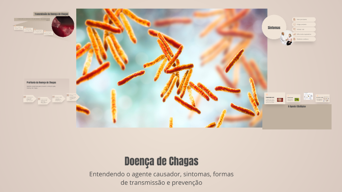 Doença de Chagas by Henrique goto on Prezi