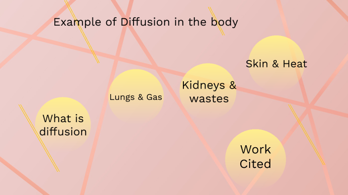 Three Examples Of Diffusion In The Human Body