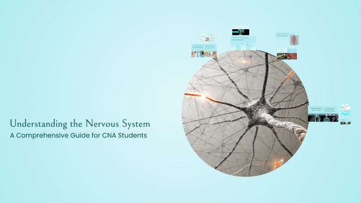 Understanding the Nervous System by Malachi Dyers on Prezi