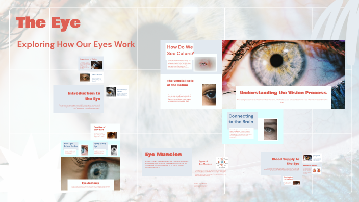 The Eye by Grace Dalton on Prezi
