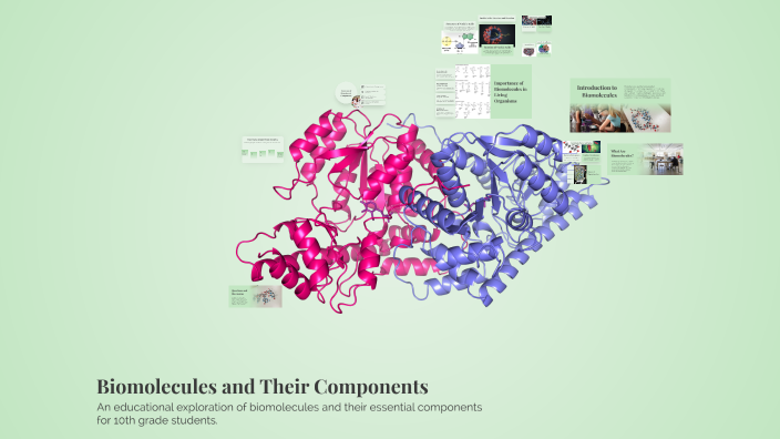 Biomolecules and Their Components by Jannah Canoy on Prezi
