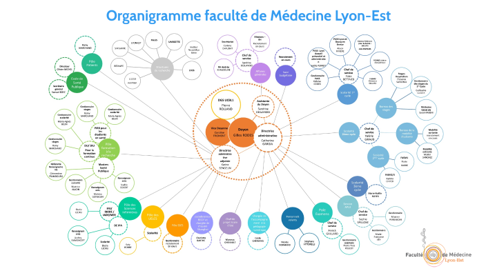 Organigramme de la faculté de Médecine Lyon-Est by Cécile Chenavas on Prezi