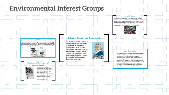 environmental-interest-groups-by-rebeca-gordon