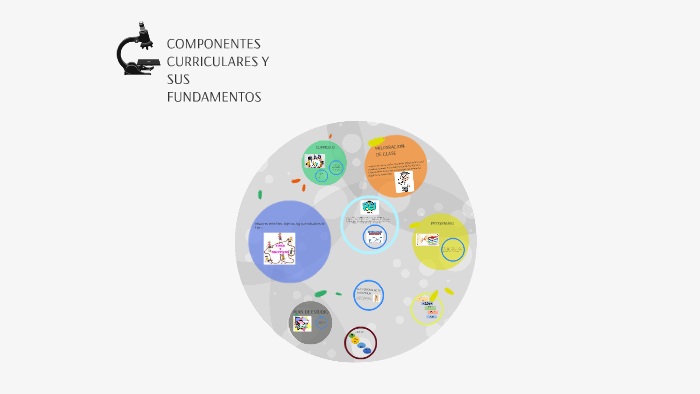 COMPONENTES CURRICULARES Y SUS FUNDAMENTOS by Ivana Aroca Rodriguez on ...