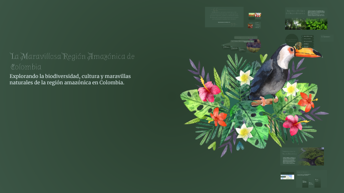 La Maravillosa Región Amazónica de Colombia by sofia romero on Prezi