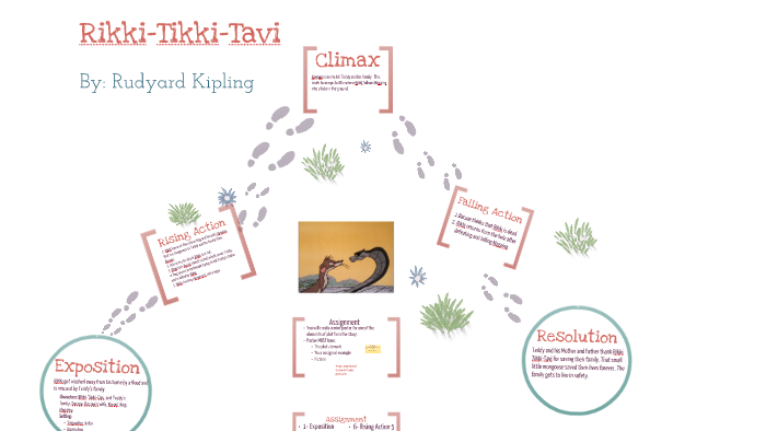 Rikki Tikki Tavi Character Chart Answers
