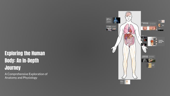 Exploring the Human Body: An In-Depth Journey by Qnarik Qnarik on Prezi