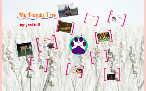 My Family Tree by Josi Hill on Prezi