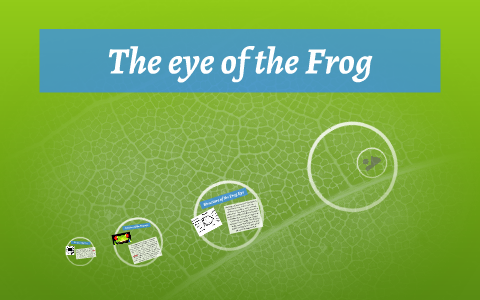 The eye of the Frog by N J on Prezi